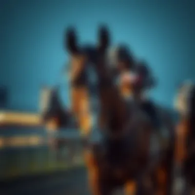 A strategic overview of horse racing betting