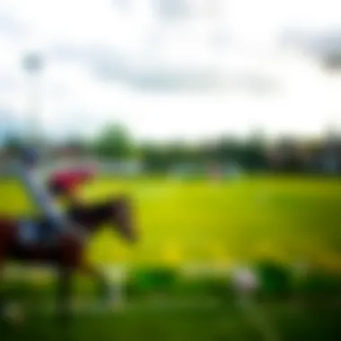 Risk management in betting