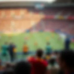 Tactical overview of Wolverhampton and Brighton's formations